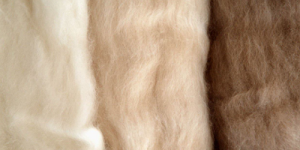 What is the difference between cashmere and wool?  How to wash cashmere coat at home?
